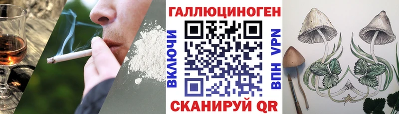 Псилоцибиновые грибы Cubensis  Салават 