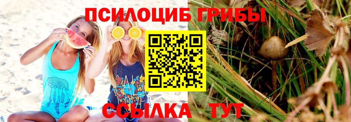 Салават  Галлюциногенные грибы прущие грибы  Вход с VPN 